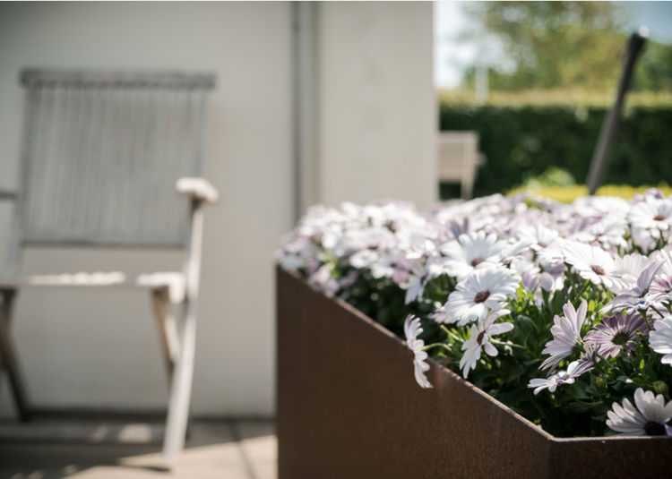 Cortenstahl Pflanzkübel Terrasse Blumen Sommer