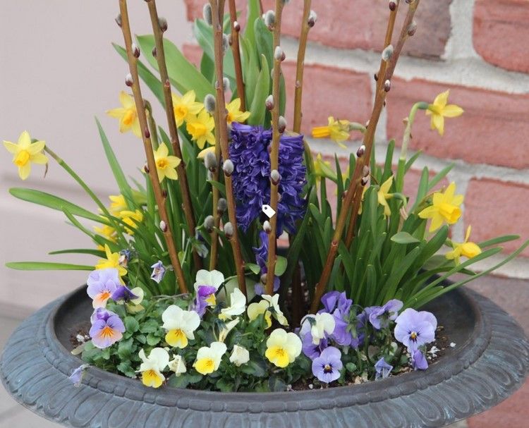 Frühling Blumenkübel Hyazinthe, Narzisse, Stiefmütterchen und Weidenkätzchen