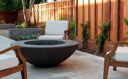 Holzzaun begrünen Kletterpflanzen Drahtseil gespannt