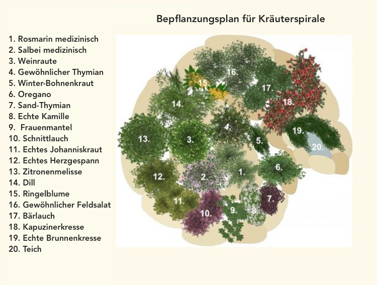 Kräuterspirale mit Teich Bepflanzungsplan mit Kräutern und Blumen