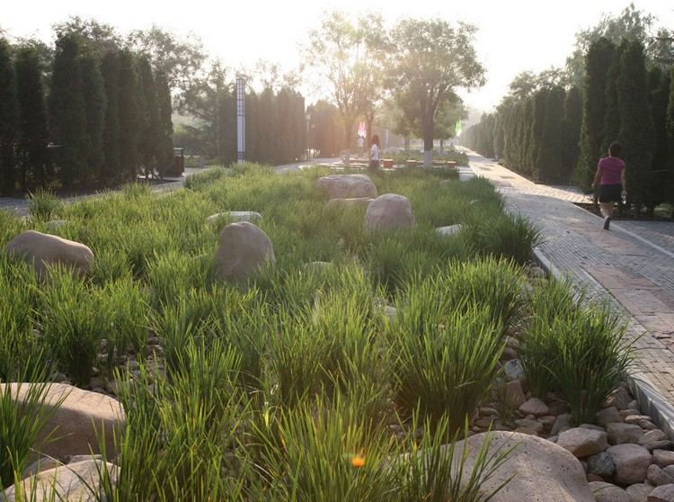 Qinhuangdao botanischer Garten China Landschaftsbau Steine