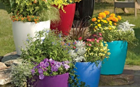 blumentöpfe pflanzgefäße außenbereich farben