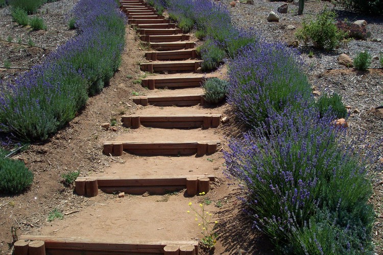 60 Ideen Beispiele Und Tipps Fur Die Treppen Im Garten