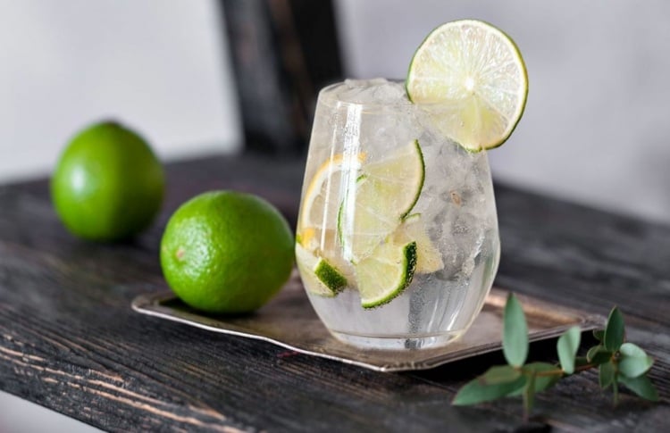 gin and tonic klassisch limetten garnieren eiswürfel