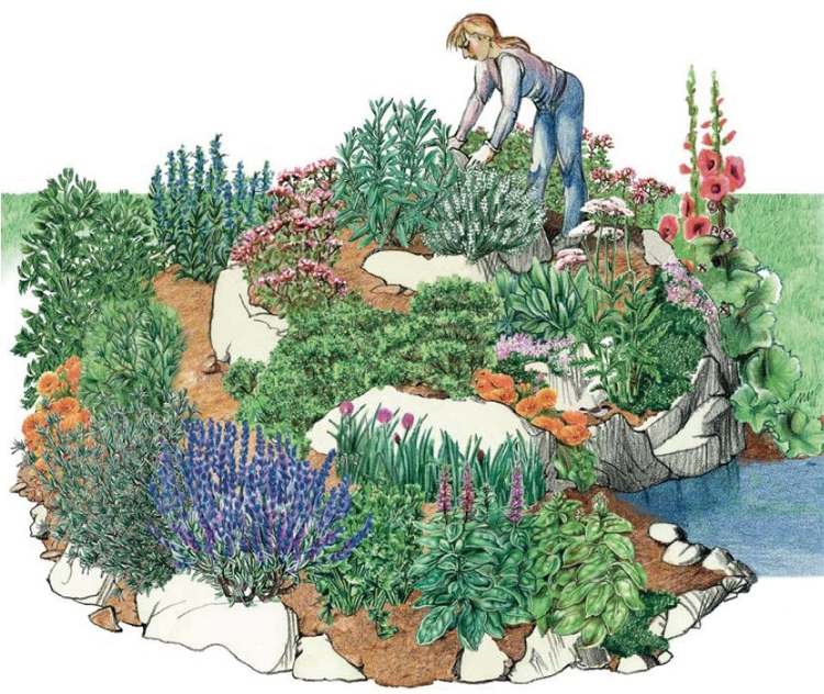 kräuterspirale mit blumen und Kräutern bepflanzen Garten Plan Darstellung
