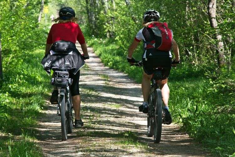 mountainbike strecken fahrradweg radwandern route touren trail wald