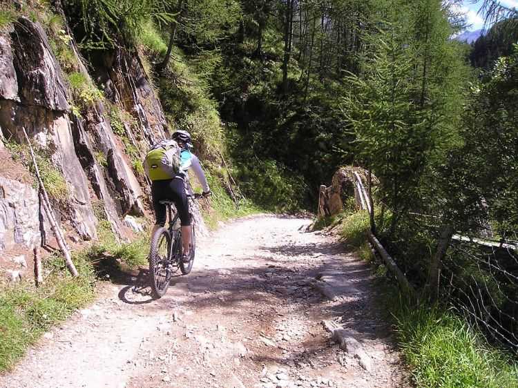mountainbike strecken fahrradweg radwandern wald