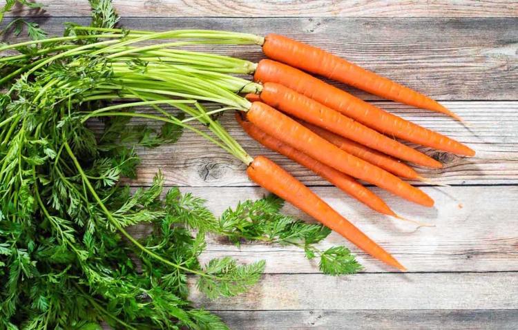 vegetarische frühlingsrezepte karotten gemüse gesund vitaminreich beta caroten