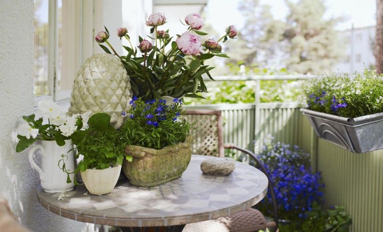 Balkon deko Blumen Campanula Pfingstrosen Mosaik Tisch