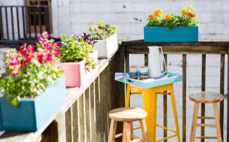 balkonkasten bepflanzen blumen auswaehlen