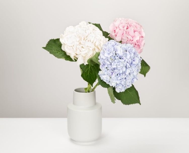 deko mit schnittblumen hyazinthen porzellan vase