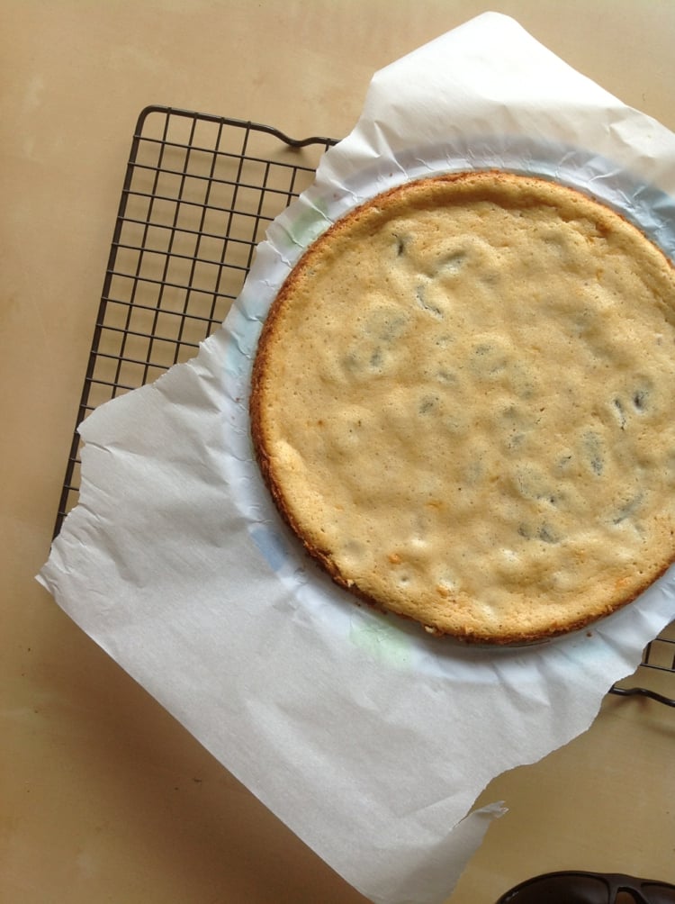 einfacher käsekuchen rezept ohne boden rosinen schnell