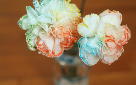 gaertnern kindern experimente blumen wasser versorgen