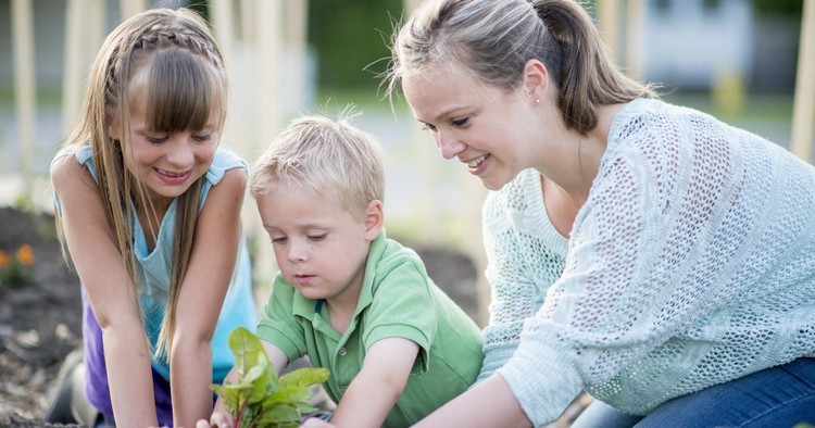 interessante aktivitäten für kinder sommer kräutergarten anlegen