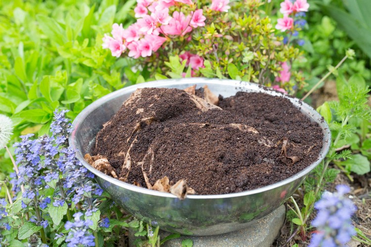 So können Sie den alten Kaffeesatz im Garten einsetzen!