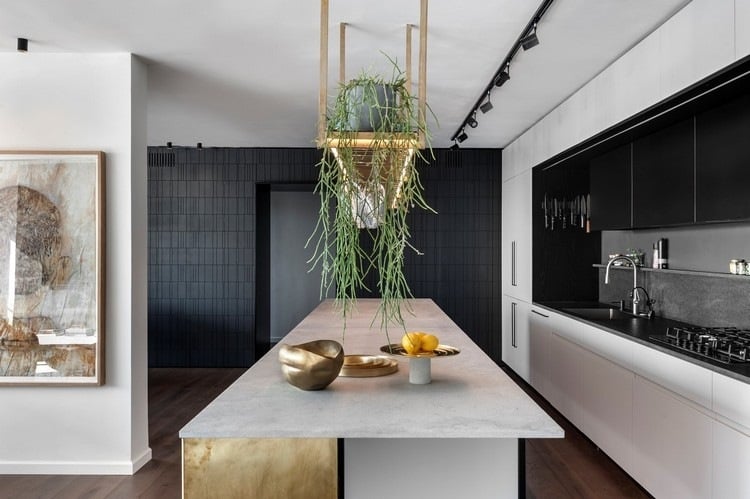 moderne küche industrieller charme kücheninsel hängeregal decke pflanzen