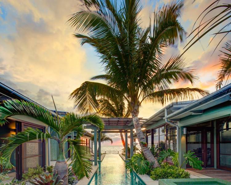 palmen für den garten pool ferienhaus terrasse
