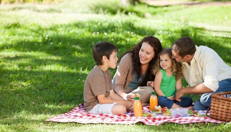 picknick mit kindern im sommer ideen kinder aktivitäten
