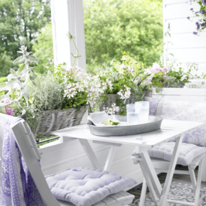 Balkonblumen Weiß blühend Blätter rosa lila Provence
