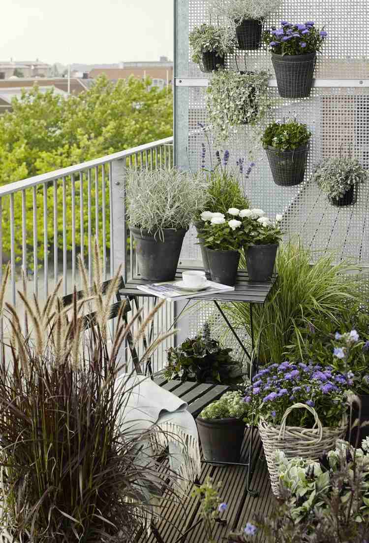 Balkonpflanzen Weiß Blau Kombination Ziergräser