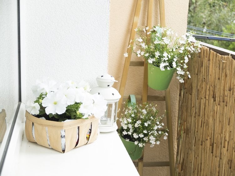 Balkonpflanzen Weiße Blüten Hängeeimer Bambusmatte Sichtschutz