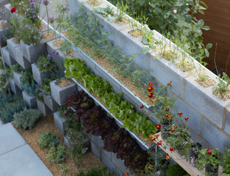 Betonblocksteine bepflanzt mit Blumen und Kräutern Salate