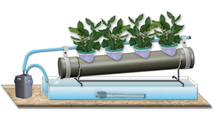 Hydroponik Arbeitsweise Pflanzen Wasserpumpe