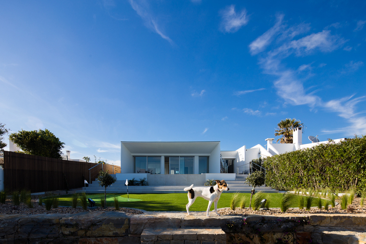 Minigolf Ziergräser Holz Sichtschutzzaun