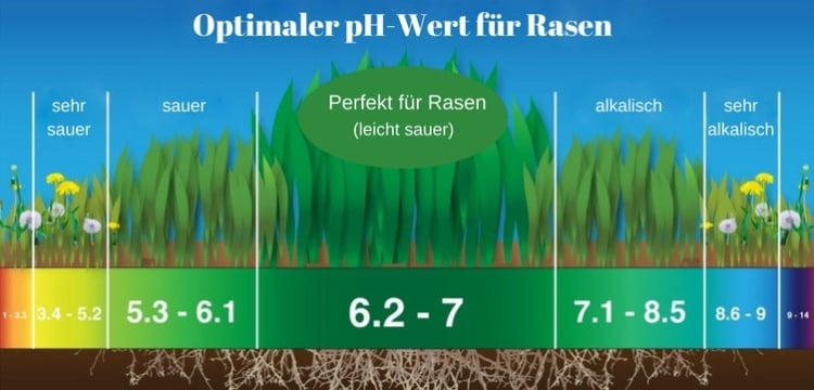 Optimaler pH-Wert für Rasen kalken