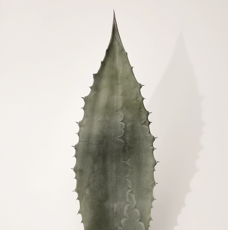 badkeramik set inspiriert natur agave gruen farbe