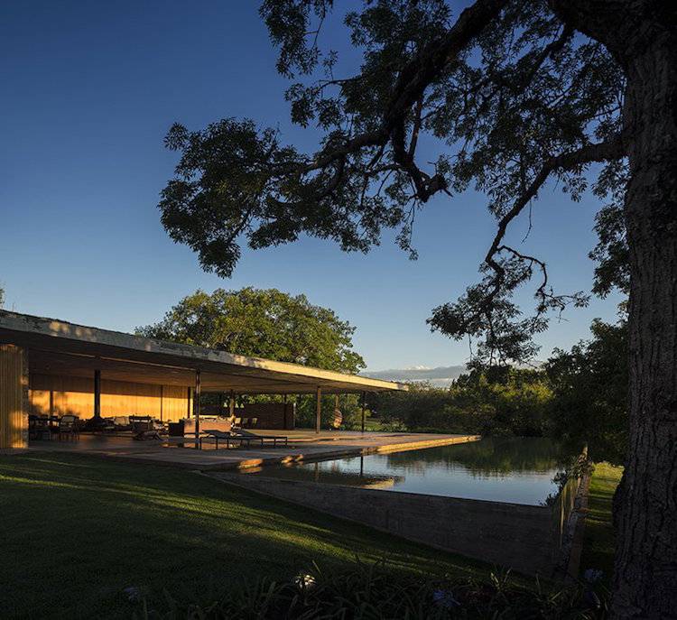 extensive dachbegrünung design planar house brasilien gründach mauerwerk natur grünfläche architektur außenbereich