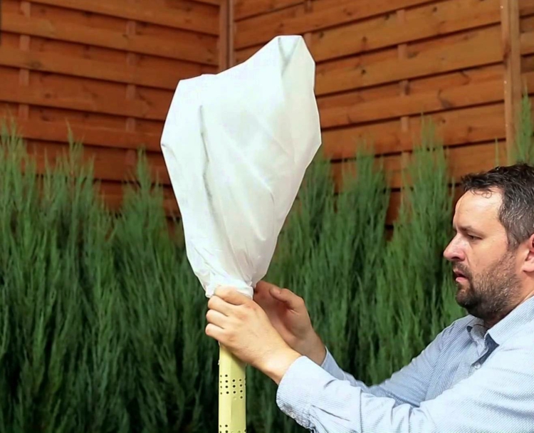 hochstammrosen pflanzen pflegen überwintern vlies einwickeln