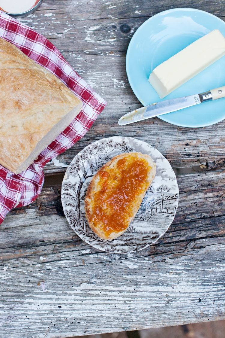 holunderblüten rezepte ohne zucker aprikosen honig marmelade