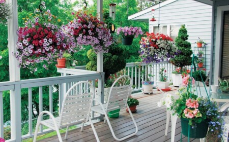 hängende pflanzen balkon blumen blühend