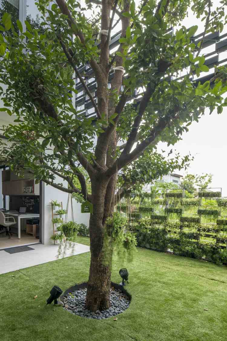 i house gooseberry design begrünte hausfassade innenhof rasenfläche bepflanzung