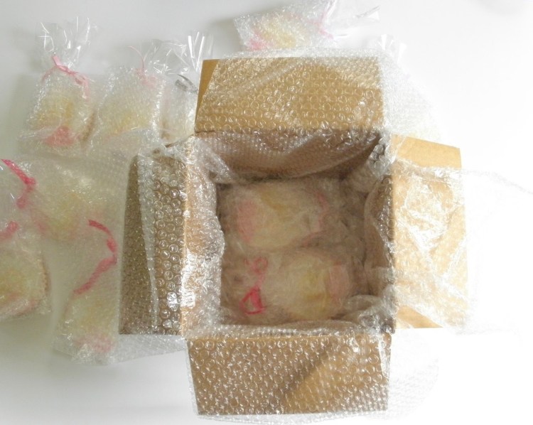 ideen mit luftpolsterfolie essen verpacken kuehlbox