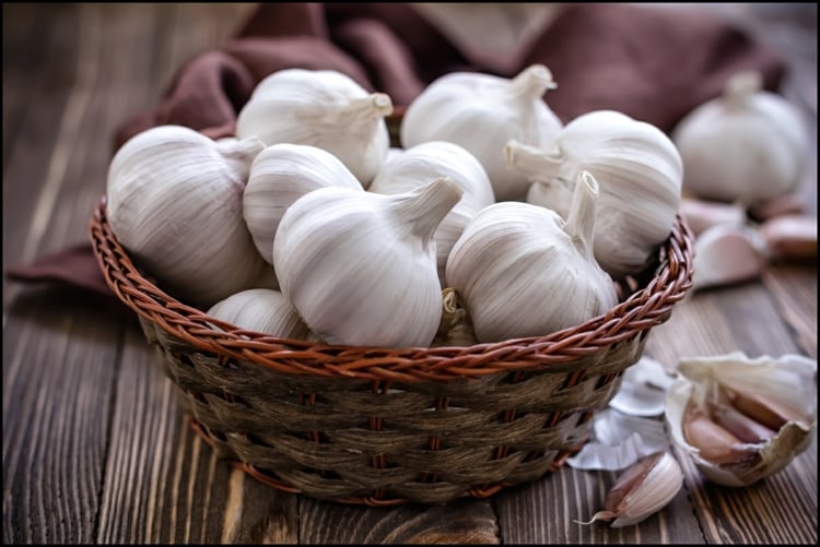 knoblauch geruch hausmittel gegen mücken mückenstiche