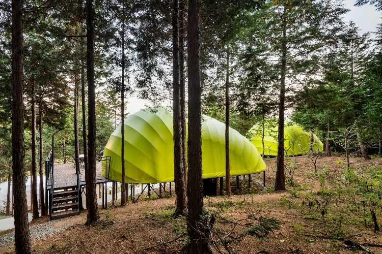 luxus campingplatz glamping südkorea architektur wald design resort ferienort berg wald zelte limettengrün