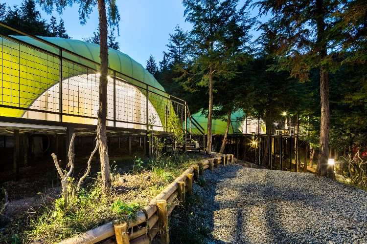 luxus campingplatz glamping südkorea architektur wald design resort ferienort gehweg wald zelte limettengrün