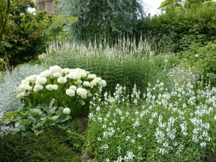 Hydrangea Anabelle weißer garten Sissinghurst weiß silber ton in ton struktur blütenform