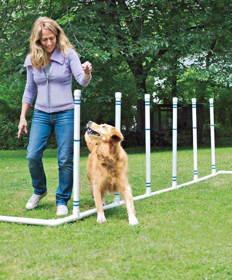 agility parcour diy hundeparcour selber bauen slalomstangen erstellen spielen trainieren hund hundeführerin