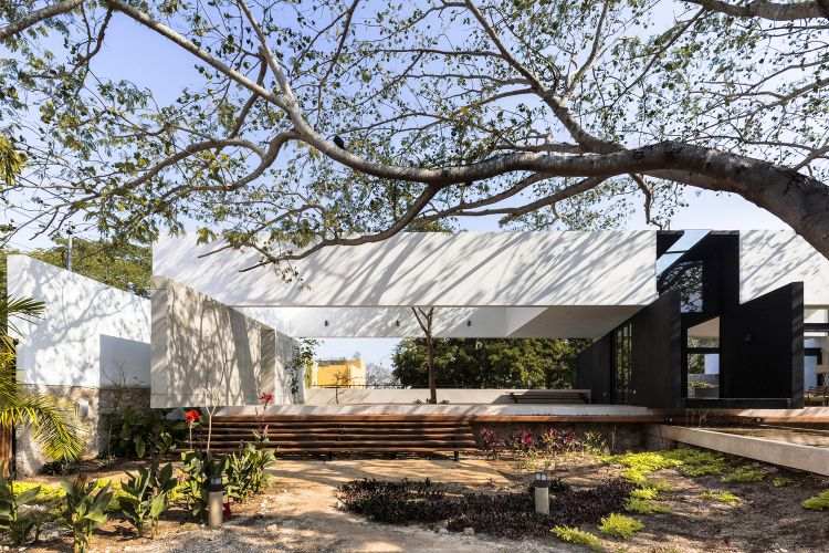 Baum Integrieren Moderne Architektur In Einem Design Haus Aus Mexiko