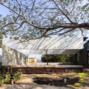 baum integrieren bauen mit bäumen moderne gestaltung terrasse garten außenbereich architektur traumhaus natur umwelt