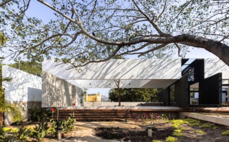 baum integrieren bauen mit bäumen moderne gestaltung terrasse garten außenbereich architektur traumhaus natur umwelt