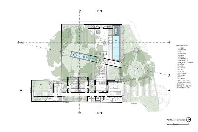 baum integrieren bauen mit bäumen moderne gestaltung terrasse garten außenbereich architektur traumhaus natur umwelt grundriss