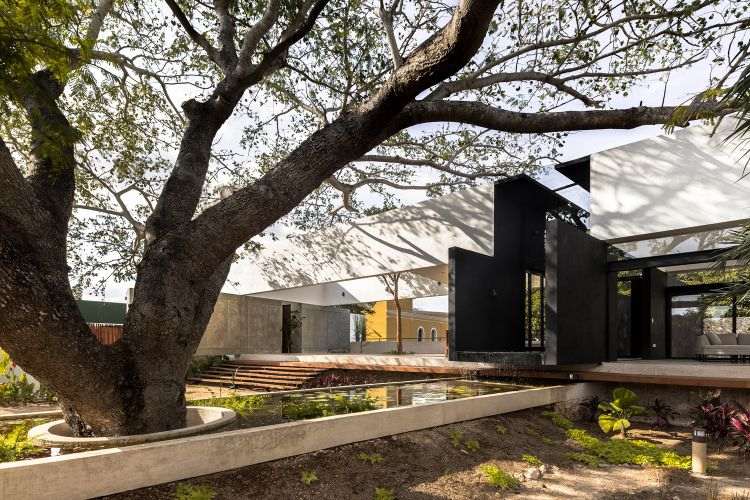 baum integrieren bauen mit bäumen moderne gestaltung terrasse garten außenbereich architektur traumhaus natur umwelt holztreppe becken