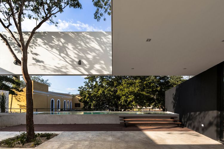 baum integrieren bauen mit bäumen moderne gestaltung terrasse garten außenbereich architektur traumhaus natur umwelt innenhof