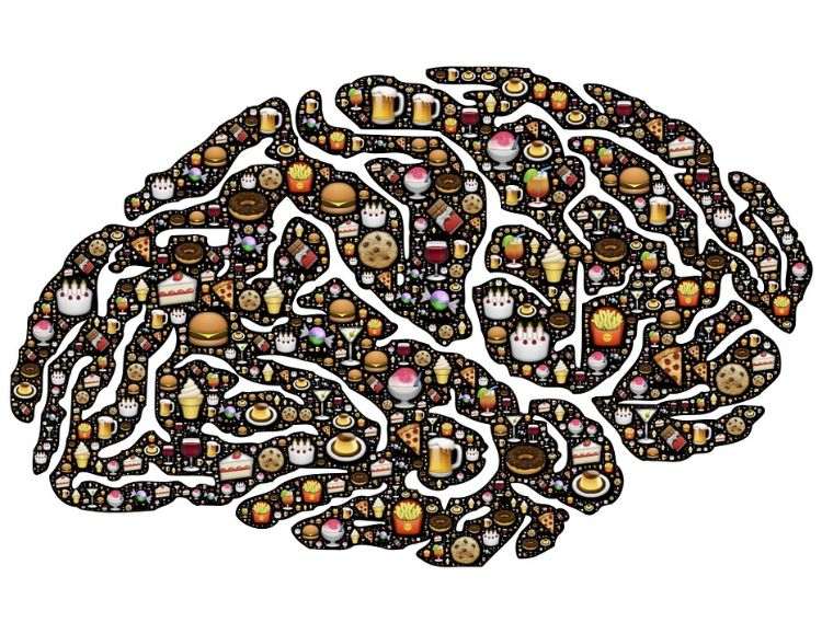 brainfood Snacks energiereiche lebensmittel leistungssteigerung für gesundes gehirn energielieferanten junkfood gedanken donuts pizza pommes