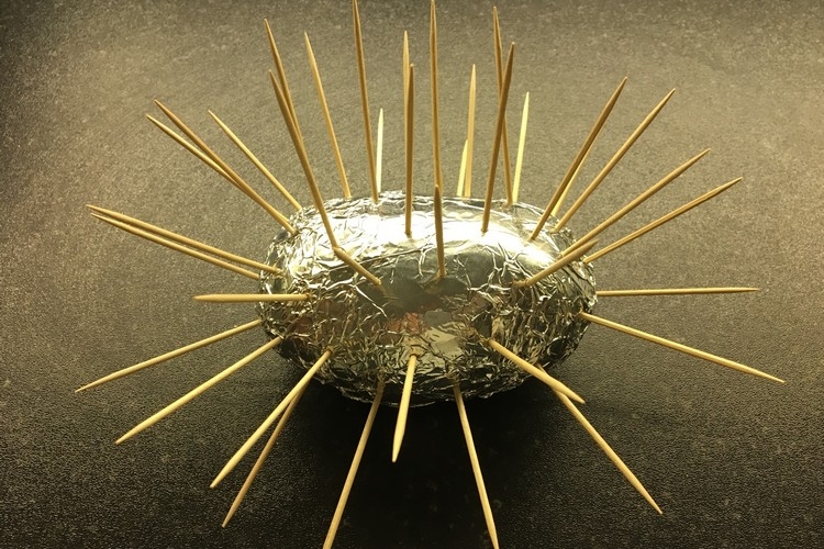 So können Sie einen tollen Käseigel für die nächste Party selber machen!