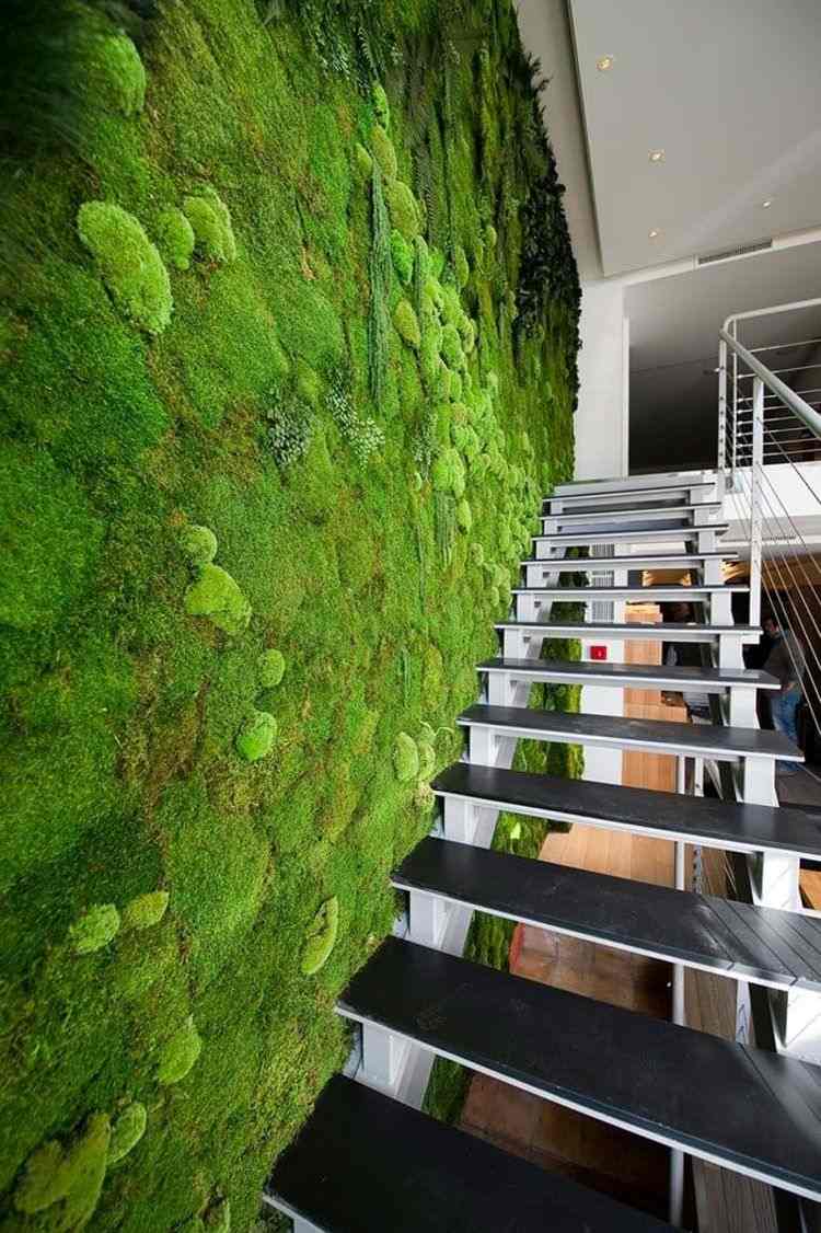mooswand selber machen pflanzenwand moosbild grüne wand wandgarten pflanzen wandbegrünung sukkulenten moospflanze treppe